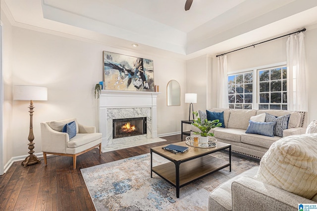 169 Glen Abbey Way, Alabaster, AL 35007 - living area featuring a raised ceiling, wood-type flooring, baseboards, a premium fireplace, and crown molding
