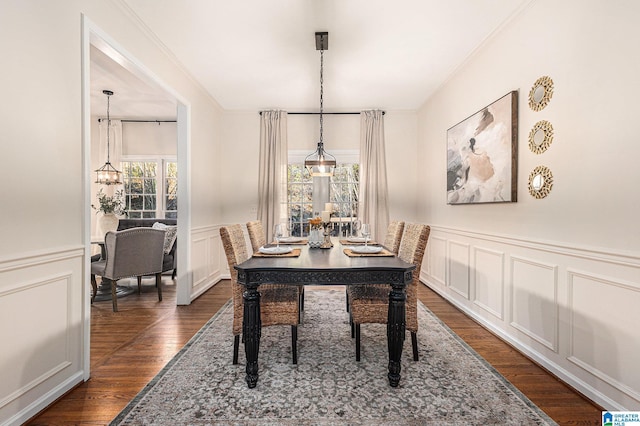 169 Glen Abbey Way, Alabaster, AL 35007 - dining space featuring a decorative wall, dark wood-type flooring, wainscoting, and a chandelier