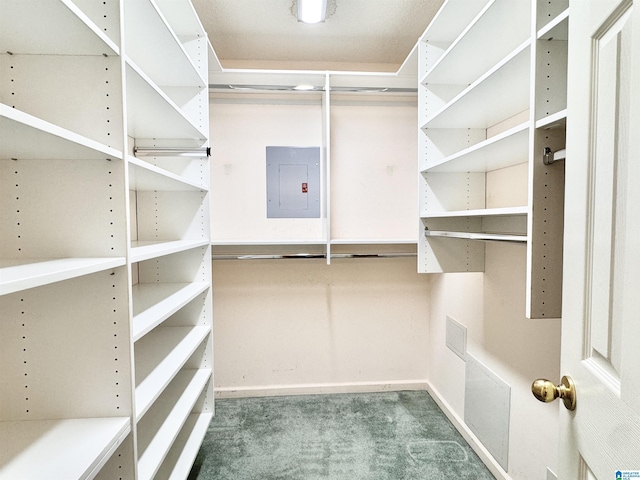 walk in closet featuring carpet floors and electric panel