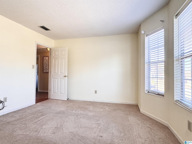 carpeted empty room featuring a healthy amount of sunlight and a textured ceiling