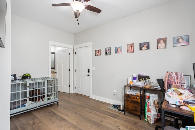 home office featuring ceiling fan and dark hardwood / wood-style flooring