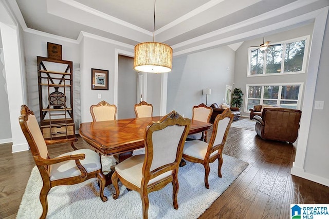 dining room with a raised ceiling, ceiling fan, and dark hardwood / wood-style floors