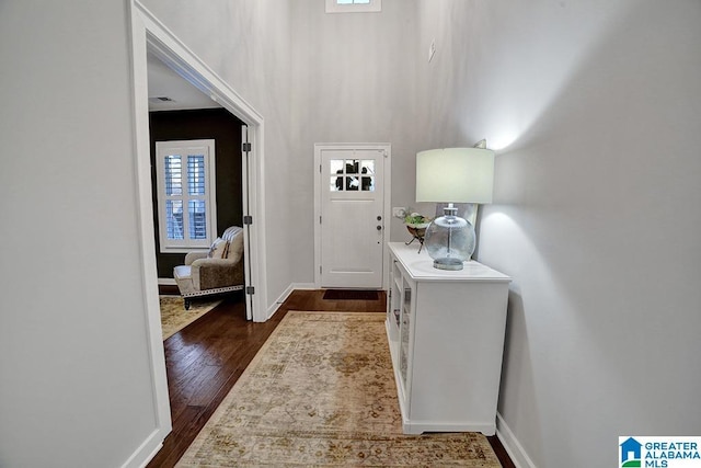 foyer entrance featuring dark wood-type flooring