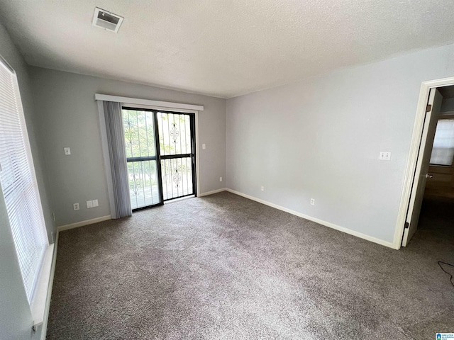 empty room with carpet flooring and a textured ceiling