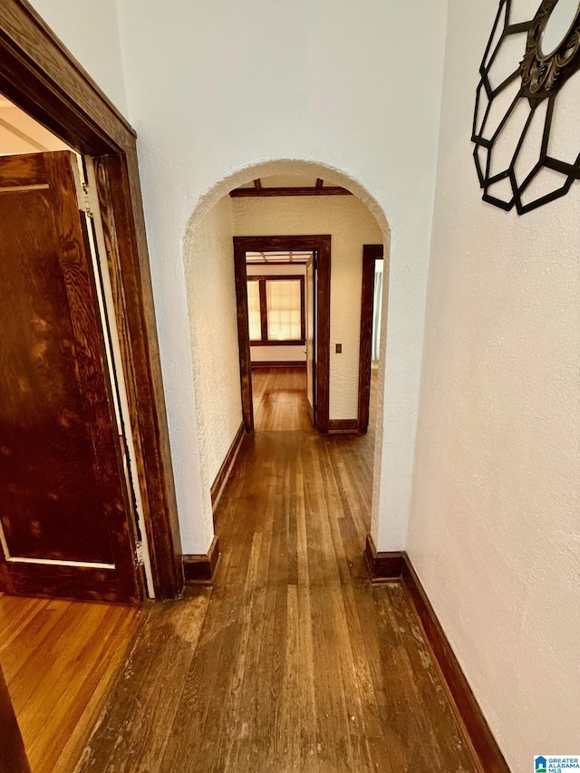 corridor featuring dark wood-type flooring