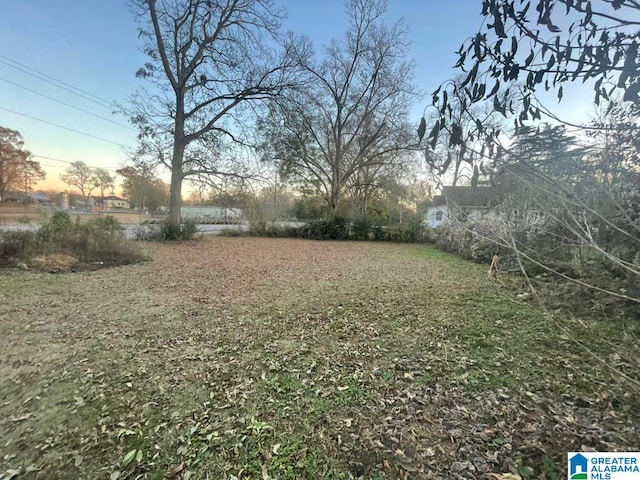 view of yard at dusk