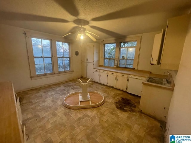 kitchen featuring dishwasher, white cabinetry, sink, and a wealth of natural light