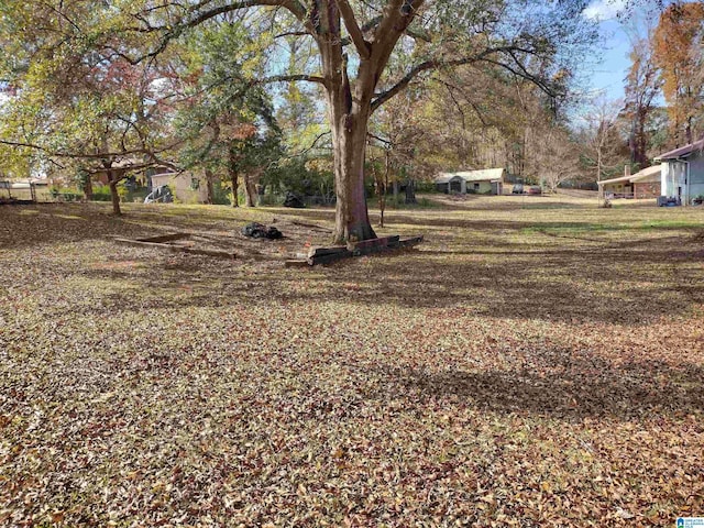 420 Dennis St, Weaver, AL 36277 - view of yard
