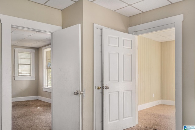 hall featuring carpet flooring and a paneled ceiling