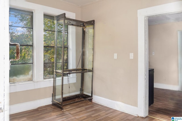 interior space with hardwood / wood-style flooring and a wealth of natural light