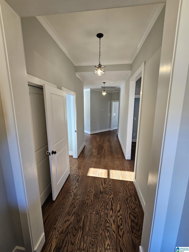 hall with dark hardwood / wood-style floors and crown molding