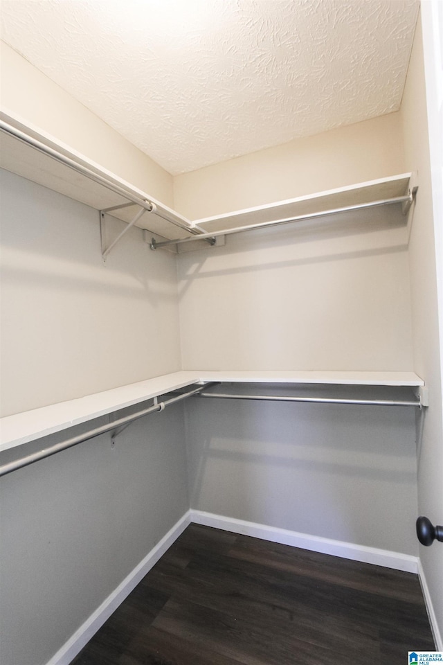 spacious closet with dark hardwood / wood-style floors