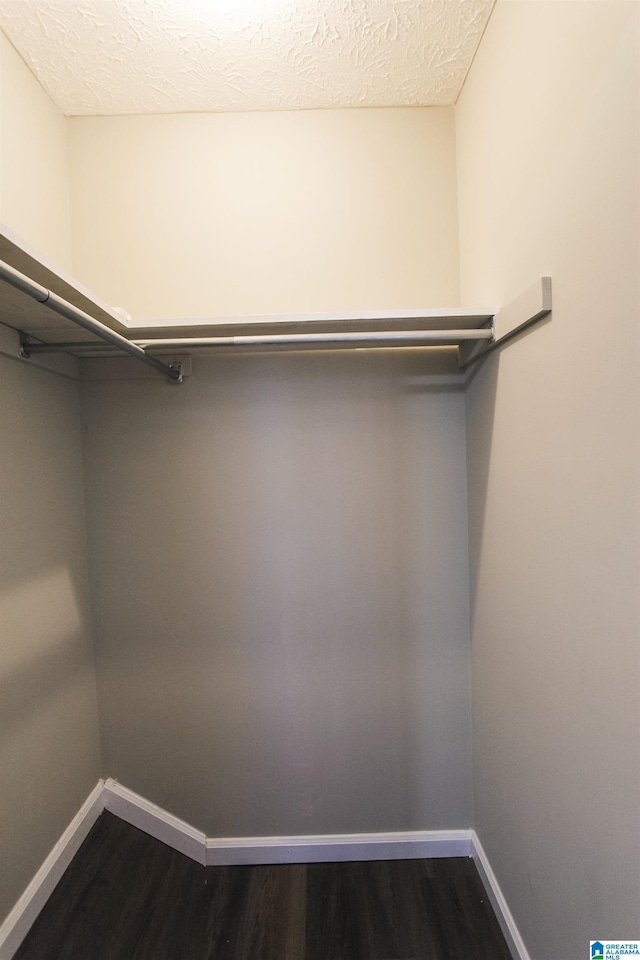 spacious closet featuring wood-type flooring