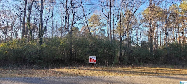 0 Vista Dr Unit 15, Oneonta, AL 35121
