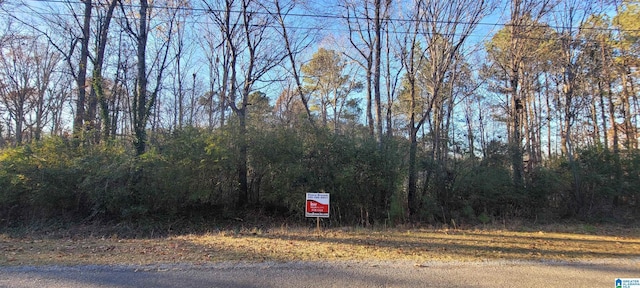 0 Vista Dr Unit 15, Oneonta AL, 35121 land for sale