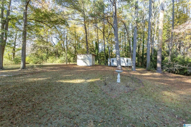 view of yard with a storage unit