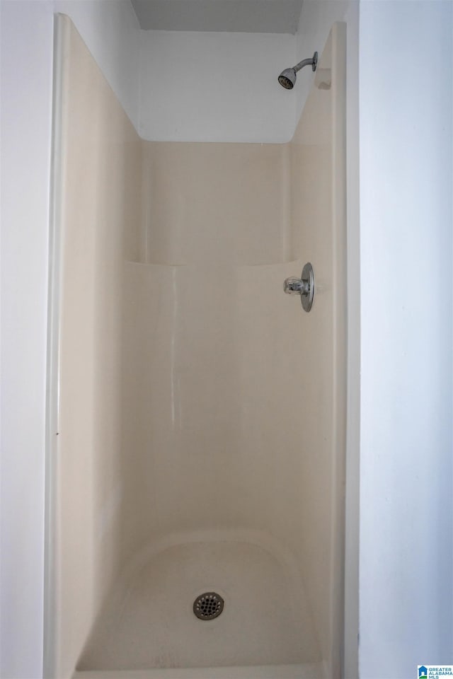 bathroom with a shower