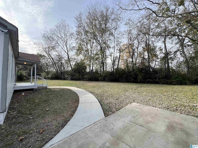 view of yard featuring a patio area