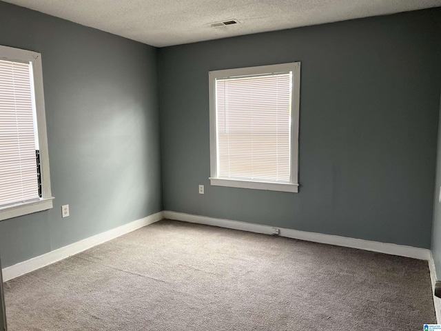 empty room featuring carpet flooring and a textured ceiling