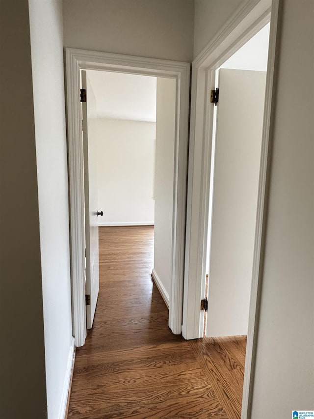 corridor featuring dark wood-type flooring