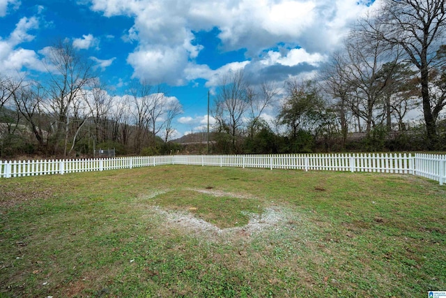 view of yard