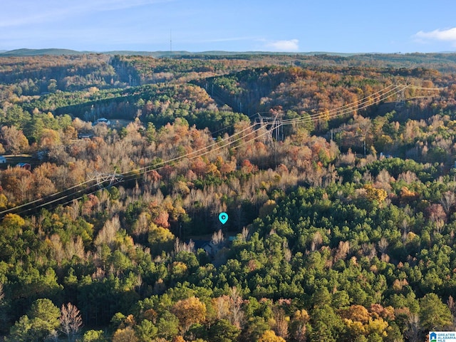 bird's eye view