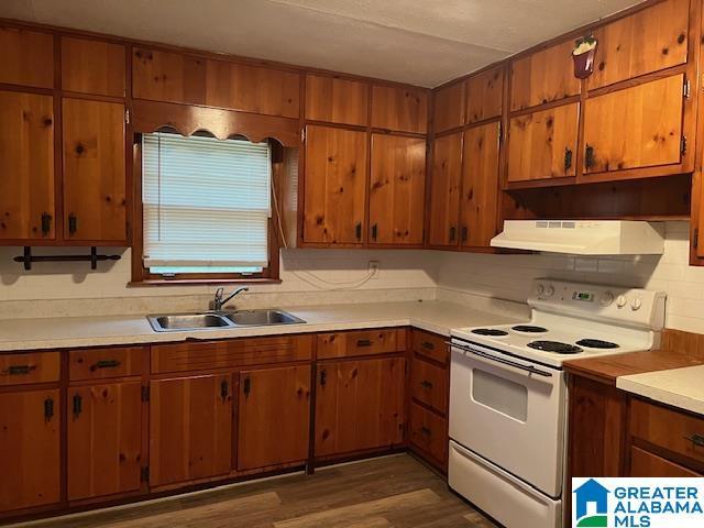 kitchen featuring electric range, dark hardwood / wood-style flooring, sink, and exhaust hood