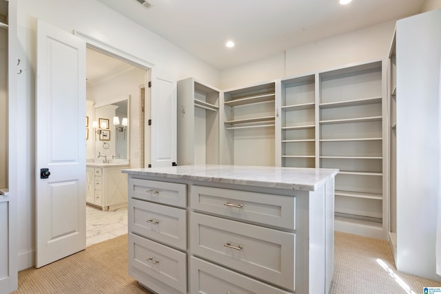 spacious closet with sink