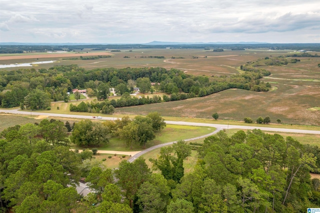 bird's eye view with a rural view