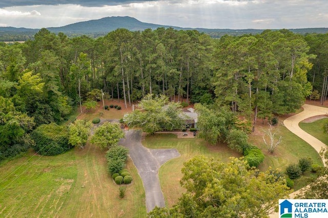 bird's eye view featuring a mountain view