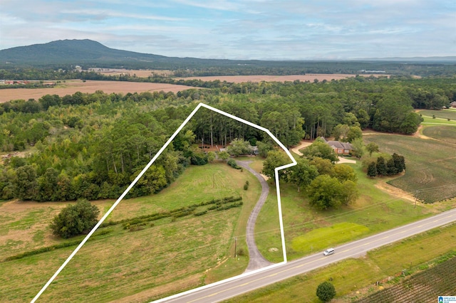 birds eye view of property featuring a mountain view and a rural view