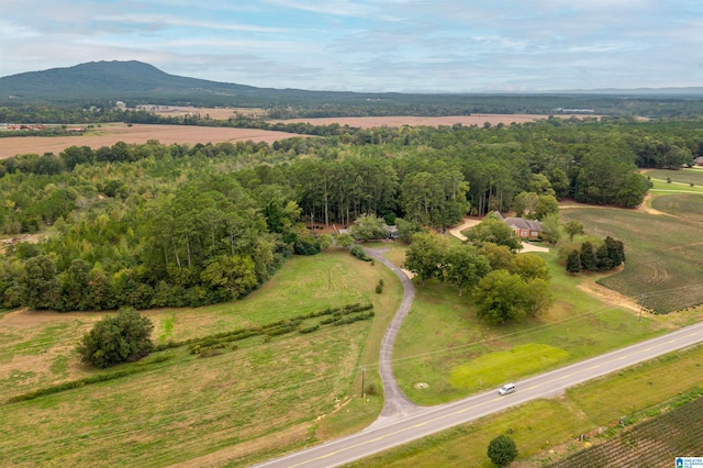 birds eye view of property featuring a mountain view and a rural view