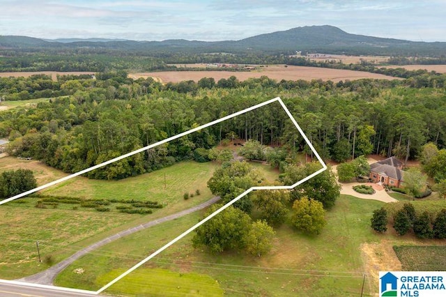 birds eye view of property with a mountain view and a rural view