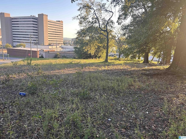 1214 21st Pl N Unit 54-55, Birmingham, AL 35234