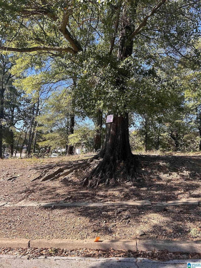 1214 21st Pl N Unit 54-55, Birmingham, AL 35234