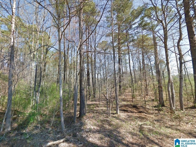 00 Granny Hyche Rd -, Unit Cordova AL, 35550 land for sale