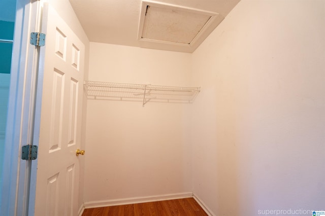 walk in closet with dark hardwood / wood-style flooring