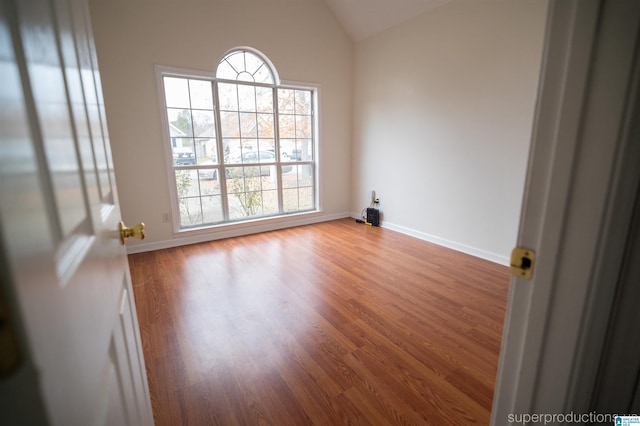 spare room featuring lofted ceiling and wood-type flooring