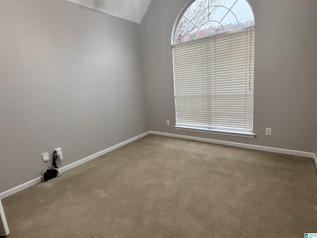 spare room featuring carpet floors