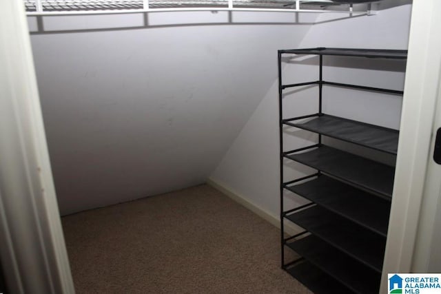 spacious closet with light carpet