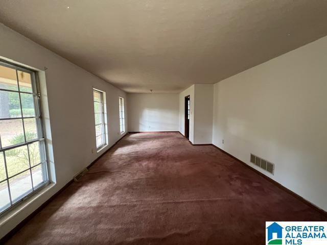 carpeted spare room featuring a healthy amount of sunlight