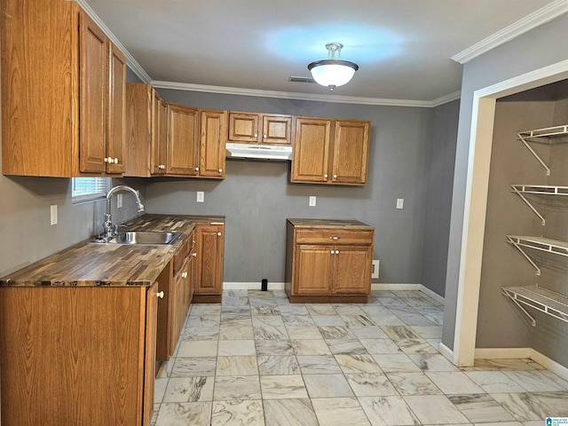 kitchen featuring wooden counters, crown molding, and sink