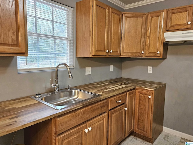 kitchen with butcher block countertops, ornamental molding, and sink