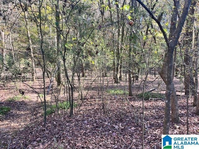 1541 N Wolf Creek Rd Unit 5, Pell City AL, 35125 land for sale