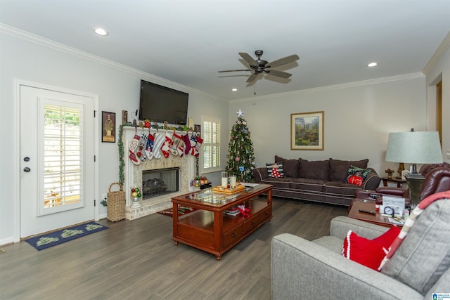 living room with ceiling fan, dark wood-type flooring, and ornamental molding