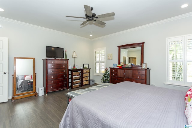 bedroom with multiple windows, ceiling fan, dark hardwood / wood-style flooring, and ornamental molding