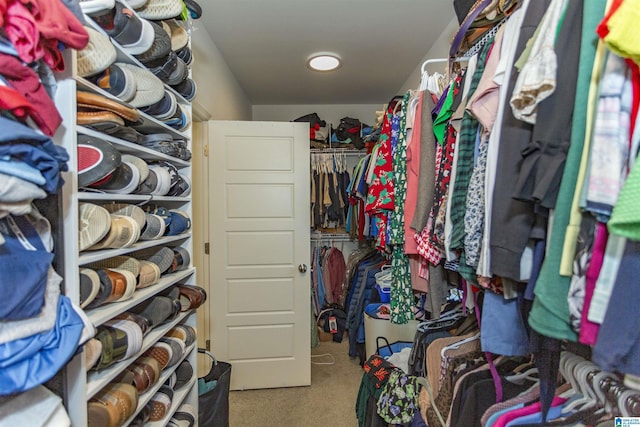 spacious closet featuring light colored carpet