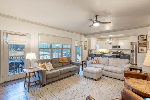 living room featuring ceiling fan with notable chandelier, light wood-type flooring, and ornamental molding