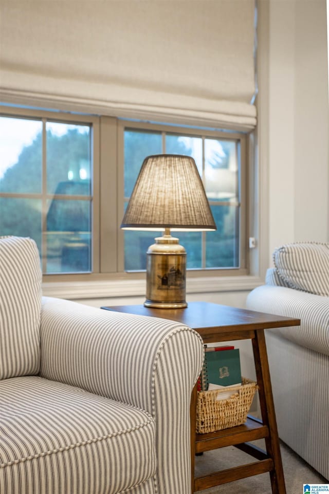 sitting room featuring carpet floors