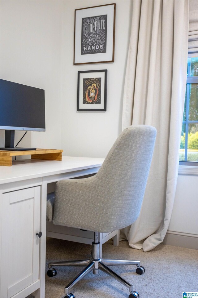 office area featuring carpet